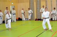 NÖ Prüfungskommission bestätigt Karateniveau