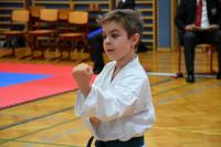 Karate-Landesmeisterschaft im Waldviertel!