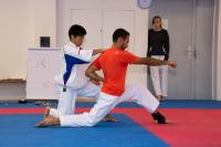 Karate Intensiv Trainingscamp