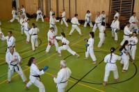 10. NÖ Karate-Tag