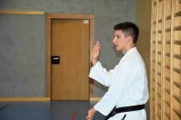 Gasttrainer für Goju Ryu Karate