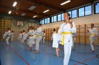 Gasttrainer für Goju Ryu Karate