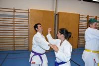 Gasttrainer für Goju Ryu Karate