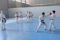 Erfolgreiche Ausbildung zum Übungsleiter für Karate