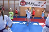 Laute Schreie und schnelle Techniken beim „Sommer-Spaß in Echsenbach“ 