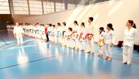 Traditionelles Karate Seminar