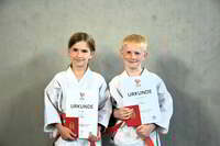 Glückliche Karate-Kids