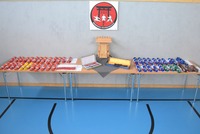 Glückliche Karate-Kids