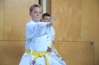 Glückliche Karate-Kids