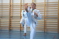 Glückliche Karate-Kids