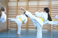 Glückliche Karate-Kids