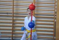 Glückliche Karate-Kids