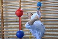 Glückliche Karate-Kids