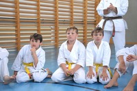 Glückliche Karate-Kids