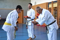 Glückliche Karate-Kids