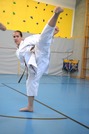 Erfolgreiche Karate-Prüfungen in Echsenbach