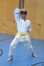 Erfolgreiche Karate-Prüfungen in Echsenbach