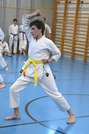 Erfolgreiche Karate-Prüfungen in Echsenbach