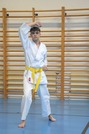 Erfolgreiche Karate-Prüfungen in Echsenbach