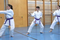 Erfolgreiche Karate-Prüfungen in Echsenbach