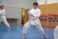 Erfolgreiche Karate-Prüfungen in Echsenbach