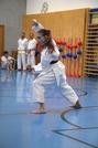Erfolgreiche Karate-Prüfungen in Echsenbach