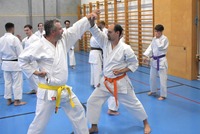 Erfolgreiche Karate-Prüfungen in Echsenbach