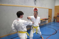 Erfolgreiche Karate-Prüfungen in Echsenbach