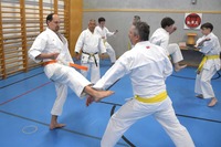 Erfolgreiche Karate-Prüfungen in Echsenbach