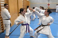 Erfolgreiche Karate-Prüfungen in Echsenbach