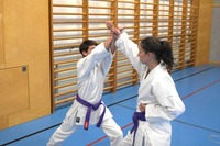 Erfolgreiche Karate-Prüfungen in Echsenbach