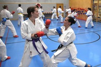 Erfolgreiche Karate-Prüfungen in Echsenbach