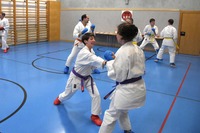 Erfolgreiche Karate-Prüfungen in Echsenbach