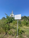 Meditation in der Friedens-Stupa in Grafenwörth