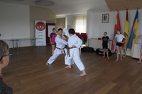 Karate beim Schulsporttag der Volksschule Echsenbach