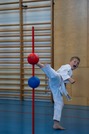 Karate Youngstars Pr&uuml;fung 8.Kyu