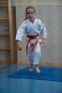 Karate Kids Pr&uuml;fung 8.-6.Kyu