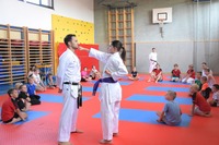 Actionreicher &bdquo;Sommerspa&szlig;&ldquo; bei Bushido Echsenbach