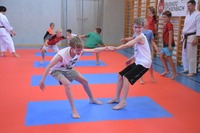 Actionreicher &bdquo;Sommerspa&szlig;&ldquo; bei Bushido Echsenbach