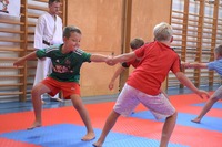 Actionreicher &bdquo;Sommerspa&szlig;&ldquo; bei Bushido Echsenbach