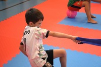 Actionreicher &bdquo;Sommerspa&szlig;&ldquo; bei Bushido Echsenbach